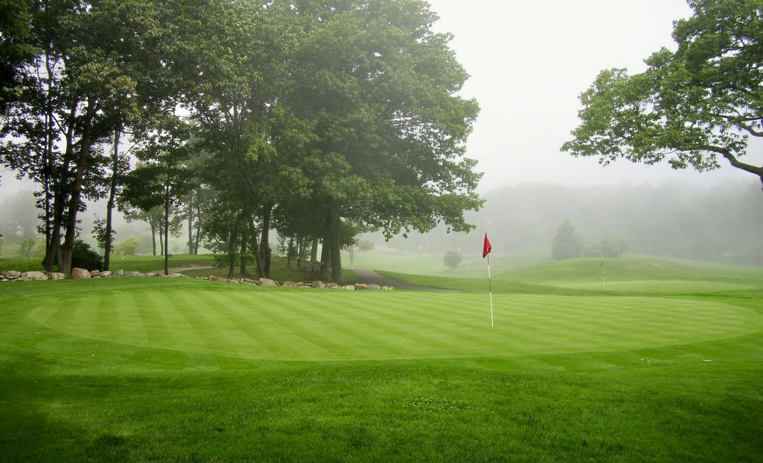 Cape Neddick Country Club