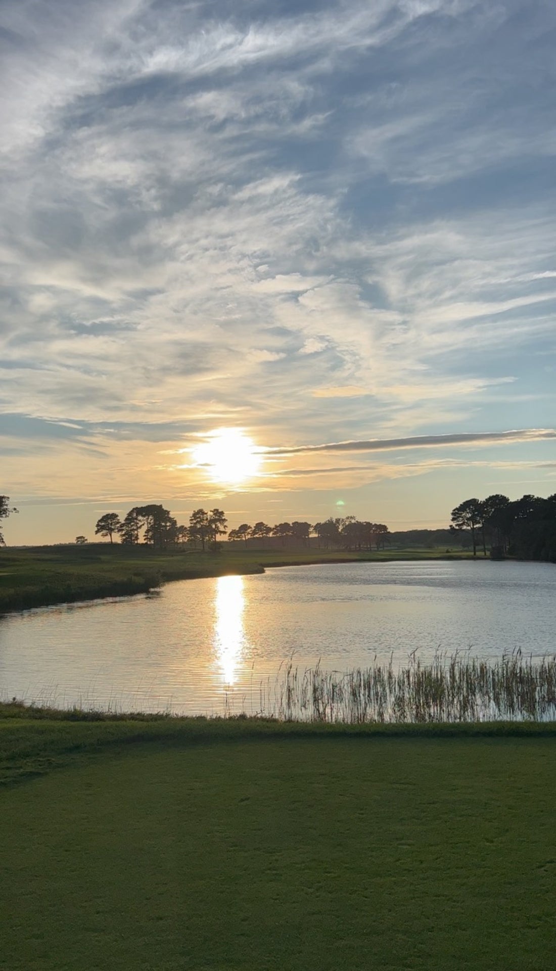 Vineyard Golf Club