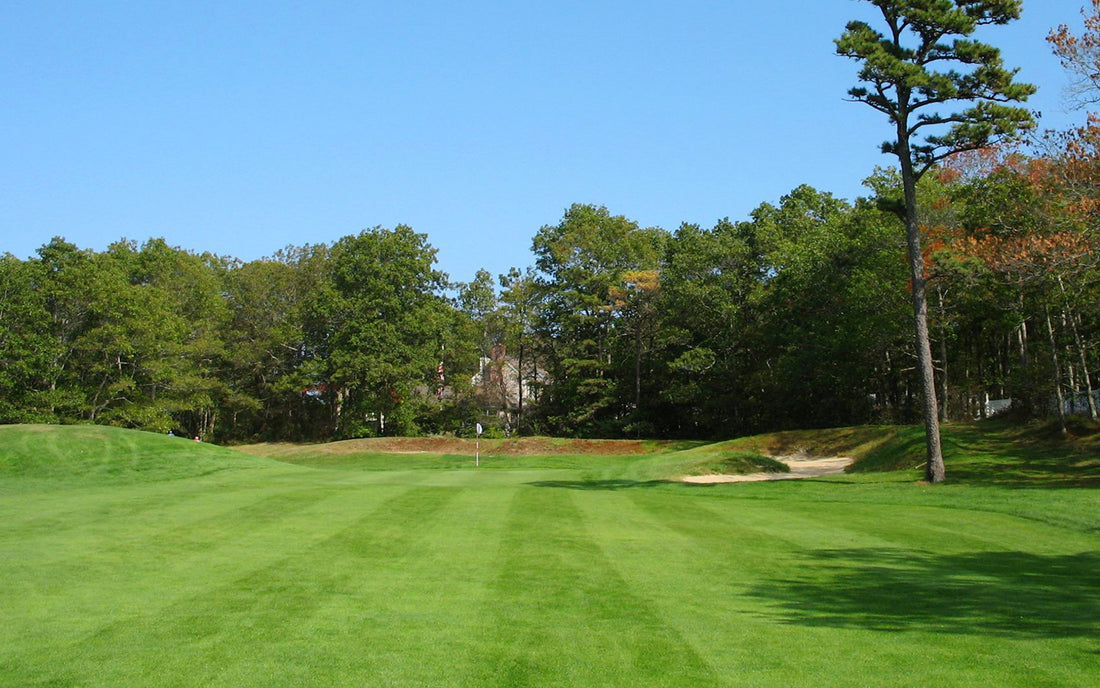 Holly Ridge