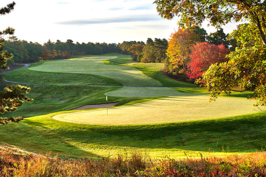 Pinehills